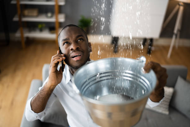 Best 24/7 water damage repair  in Crest, CA