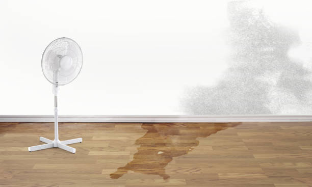 Best Emergency water damage restoration  in Crest, CA