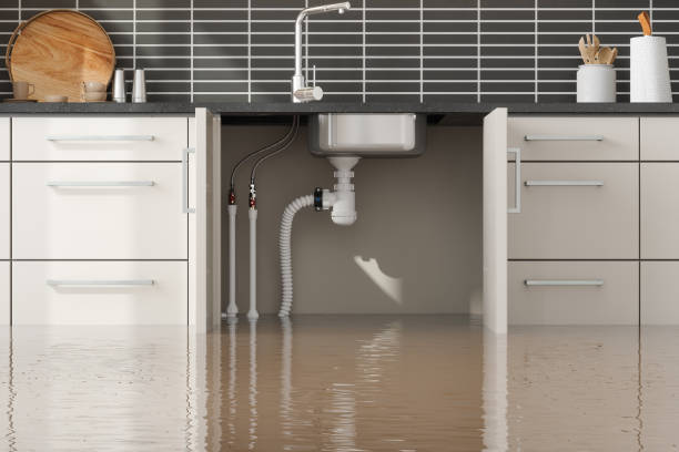 Best Water damage cleanup near me  in Crest, CA